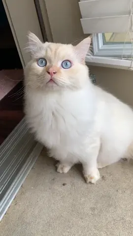 Alba’s always staring at me like he knows some big secret