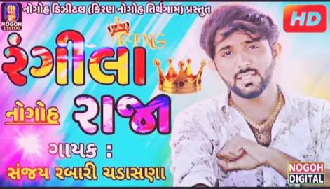 ame rangila raja #sanjaychadasana #gamansanthal #nogoh #rabari #maldhari_boy  #gujjusong