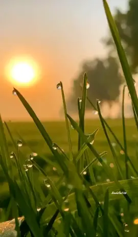 Bình minh ngay cuối tuần...thật bình yên. #MM🐝