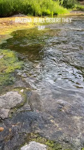 #fyp #hike #arizona #travel #explore #Outdoors #river #water #earth #foryourpage #adventure #optoutside #water #hikeaz #world