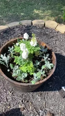 The boys and I made a whiskey barrel flower pot for momma #mothersday #fyp #foryoupage #dadsgottatiktok @brookerhyann