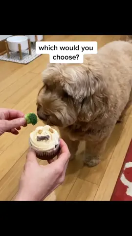 COMMENT if you choose 🥦 or 🧁 @justinbieber what’s your choice? #yummychallenge #cartooncharacter