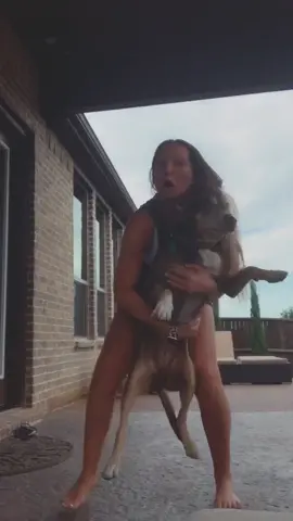 no doggos were harmed in the making of this tik tok #finalsathome #fyp #foryou #catahoula #catdog