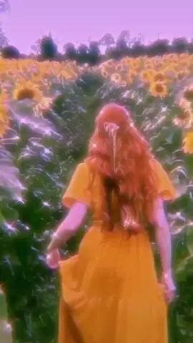 thank you guys for 2.7k !!🌻 @madatori ✨ #sunflower #flowerfield #sunflowers #aesthetic #fyp #foryoupage