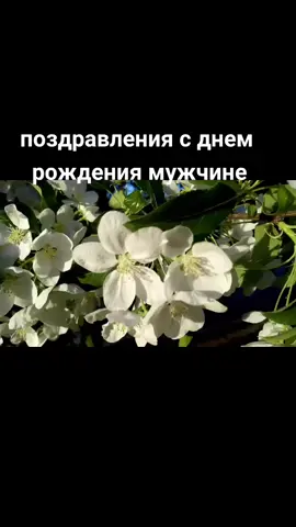 красивые поздравления ко всем праздникам на канале открытки YouTube#видео #поздравления #семья #праздник #поздравления с Днем семьи#семья #видео
