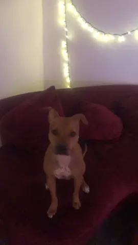 aw