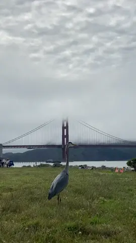 🌁