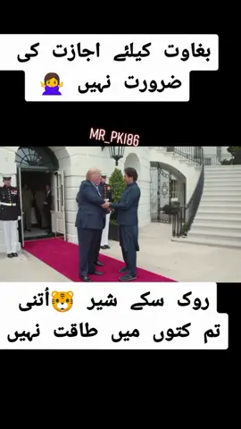 #follow #mr_pk186 #pti #foryou #fym #fyp #sultan_durrani_07 #trending #standwithkashmir #imrankhan #uk #usa #03089086186