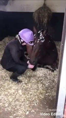 He’s the place I feel at home. #MyHorse #MyLife #Racehorse #foryourpage