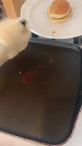 Mickey pancakes anyone? :) #fyp #foryou #disney #disneyland #disneyworld #mickeymouse #littlethings #food