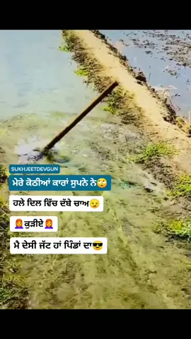 ਪੰਜਾਬੀ ਸਟੇਟਸ #sukhjeetdevgun #foryoupage #foryou #video #tiktokindia #duet #tiktokid #punjabidialogue #keepsupporting #tiktok #trend #punjab #punjabi