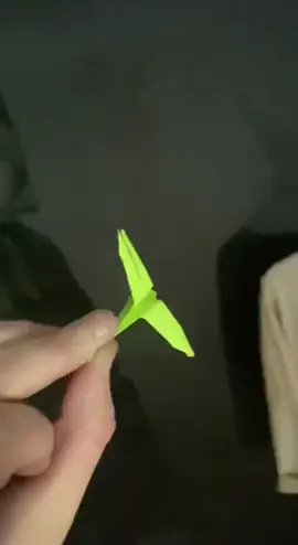 #самолет #стрекоза #оригами #птица #inthehouse  #дома #карантин  #настроение #мыдома