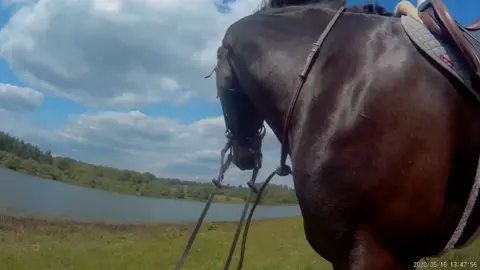 The best hacking 🤩🤩 #fyp #foryoupage #equestrian #equine #horseriding #gopro #horse #equestriansoftiktok