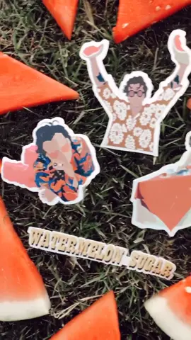 i think it’s official...the new WATERMELON SUGAR MV 🍉is the best mv of all time ❤️✨ #watermelonsugar #harrystyles #stickers