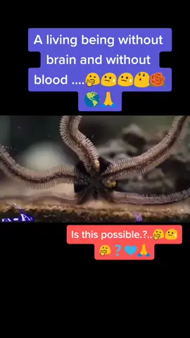 #unfacts #stayhomestaysafe #tiktok