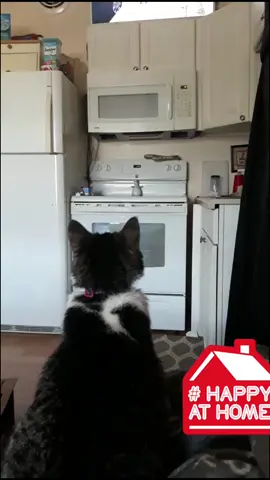 #happyathome