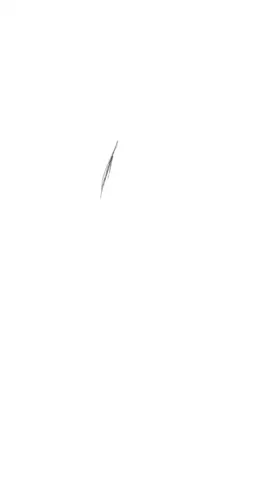 #drawing #timelapse #digitalart #fyp