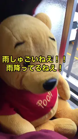 雨だねぇ！#ウォンバット#くまのプーさん#雨#梅雨#湿気