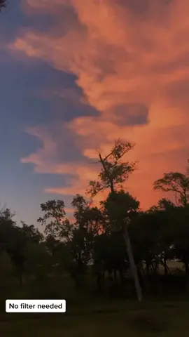 #oklahoma #oklahomasky #godscountry #okboomer #sunset #sunsetlover #paintedsky