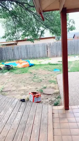 #fyp #chowmom #furrbaby