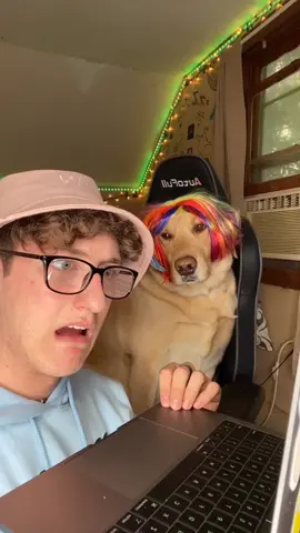 6ix9ine Dozer 😱❤️ #foryou #foryourpage #feature #featureme #pets #dogs #tiktok #familystorytime #electricitygame