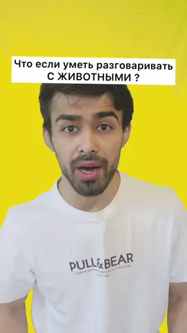 Что если уметь разговаривать с котом ? А с кем ты пообщался бы ? #животные#образование #знание