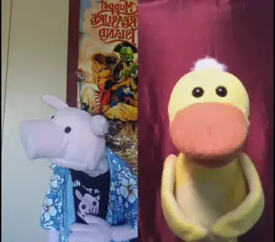 #duet with @puppetsbypalmieri ! 🐽 Sam The Ham & #luckyduck just became F·R·I·E·N·D·S ! #friendsthemesong #friendstvshow #friendstvofficial