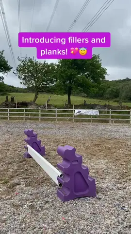 So brave 💖#equestrian #showjumper #horse #foryou