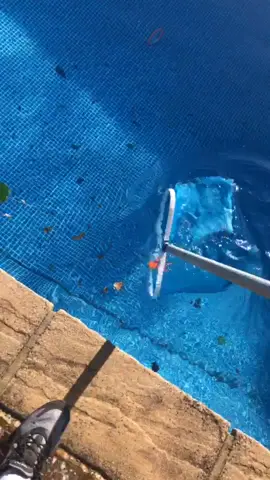 Weekly maintenance #pool #transformation #fyp #foryoupage #thep00lguy