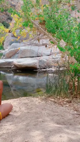 Fresh air check ☀️#nature #california