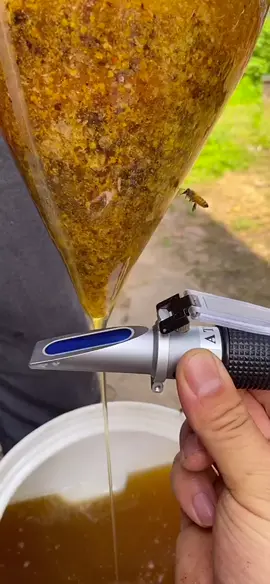 Scientific beekeeping #original #honyebee #bees