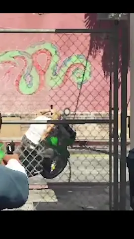 #checkoutmytwitchandyoutube #DarkViperAU #GTAV #speedrun #facts #funnymoments #win #grandtheftautov