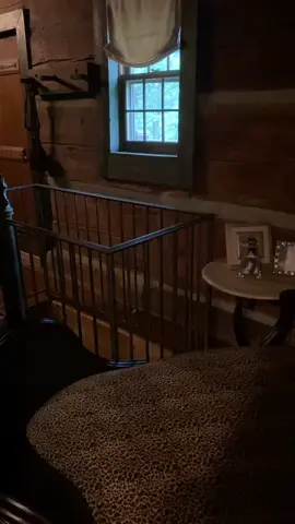 Ghosts in the cabin. Pt 1 OMG! #realityripple