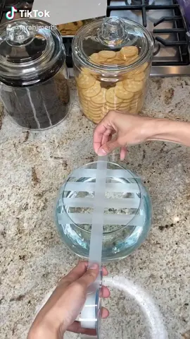 Taping Technique For Flower Arrangements #flowers #LearnOnTikTok #flowerarrangement #Home #homedecor #DIY