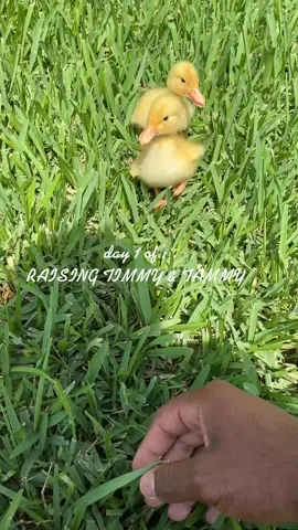 before you know it , they'll be saying 