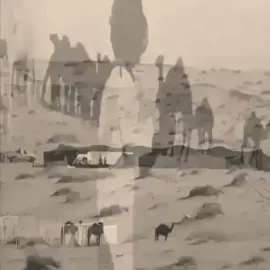 واقلبي الي عصر عيد الفطر جض #شقير_الجذع #قصيد #شعر #بوح #غزل #غزل_بنات #بدو #بدويه #شديد #شديد_البدو #عتيبه #عتيبه_الهيلا #البل #الزمن #قديم #بدوية