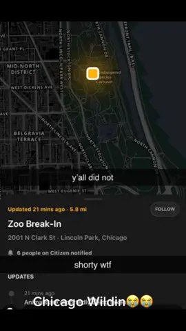 This crazy ofn. No way this real😭. This is a movie!!! Follow for Chicago riot content #foryoupage #foryou #fyp #chicago #bussin #zoo