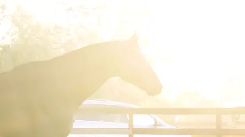 Seid ihr zufrieden mit euch selbst?💗#foryoupage