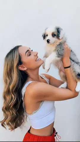 what a difference a year makes! my sweet puppy Arrow is 1 year old today🏹💘 #greenscreen #imjustakid #lipsync #dogsoftiktok #pups #fyp #ArtSkills