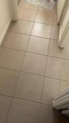 Leave him alone for 5 mins