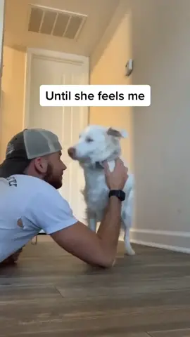 Really didn’t wanna cry today 😭 | 🎥  aiden_m365 |  Follow us for more 🐶 #fyp #foryoupage #dogsoftiktok #dogs