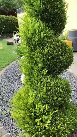 ตู้ปันสุข