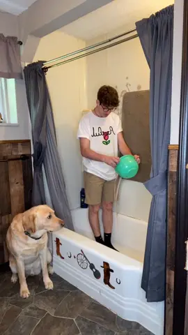 Wet Socks Suck 😂❤️ #foryou #foryourpage #feature #featureme #pets #dogs #tiktok #PetRoutine