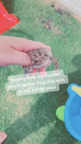 🐸 #react #funny #baby #babiesoftiktok #frog #babyreact #toddler #babygirl #funnybabies #HealthyLiving #fyp #foryou #family