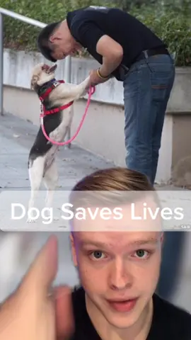 Aww this warmed my heart 🥺 (IG:Braydon.roy) #truestory #sadstory #animals #animalsdoingthings