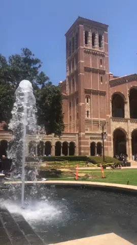 Peaceful protest at #ucla in front of Royce!! It’s a great day to be a bruin💙💛 👊🏿👊🏽👊🏻👊 #blm #protest #hbdbreonnataylor #georgefloyd