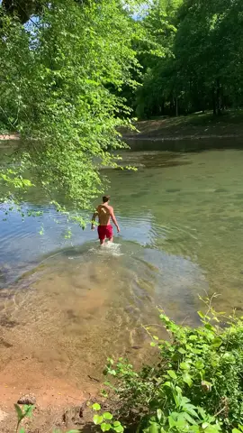 This fella needed some sun.