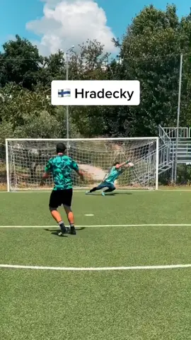 Which Nation would you see next❓😍 #calcio #football #Soccer #goalkeeper #keeper #portiere