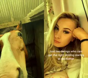#duet with @rhicatty my horse is the most qualified to duet this.. #PositiveEnergyChallenge #equestrian #riding