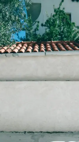 Follow my insta:eggie_re🥰 #4youpage #teameggie